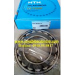 BẠC ĐẠN 22219 EAD1C3